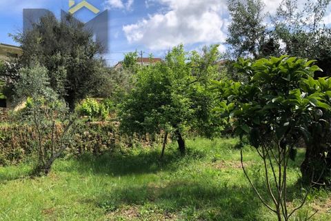 Villa i Barroca, Castelo Branco, Barroca - € 52.500 | Ref: 5038 - foto 26