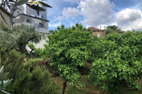 Villa i Barroca, Castelo Branco, Barroca - € 52.500 | Ref: 5038 - foto 27