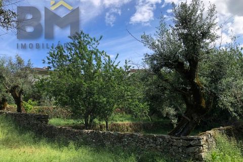 Villa i Barroca, Castelo Branco, Barroca - € 52.500 | Ref: 5038 - foto 30