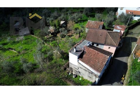Villa i Barroca, Castelo Branco, Barroca - € 52.500 | Ref: 5038 - foto 33