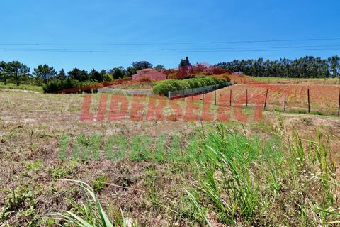 Helårsgrund i A dos Cunhados e Maceira, Lisbon, A dos Cunhados e Maceira - € 79.500 | Ref: 1216 - foto 5