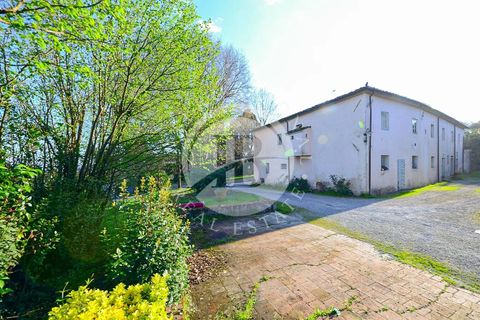 Villa i Capannori, Lucca, Capannori - € 3.000.000 | Ref: IB 821 - foto 3