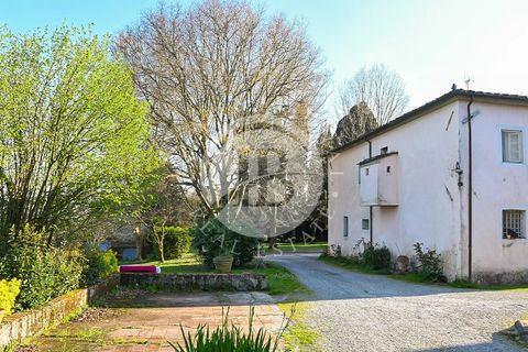 Villa i Capannori, Lucca, Capannori - € 3.000.000 | Ref: IB 821 - foto 7