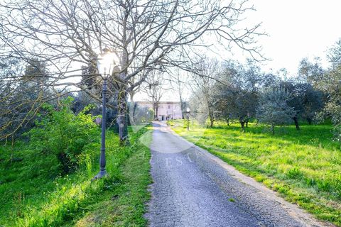 Villa i Capannori, Lucca, Capannori - € 3.000.000 | Ref: IB 821 - foto 22