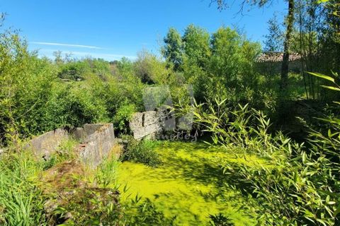 Farm hus i A do Bispo, Castelo Branco, A do Bispo - € 120.000 | Ref: H774 - foto 1