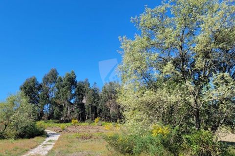 Farm hus i A do Bispo, Castelo Branco, A do Bispo - € 120.000 | Ref: H774 - foto 3