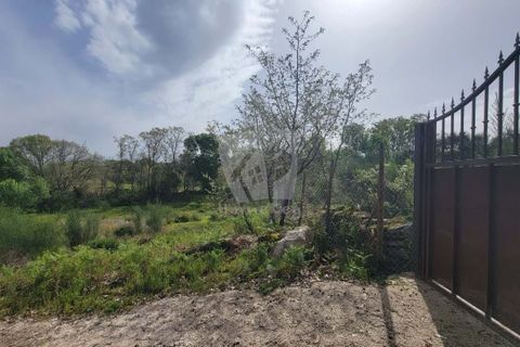 Farm hus i A do Bispo, Castelo Branco, A do Bispo - € 120.000 | Ref: H774 - foto 6