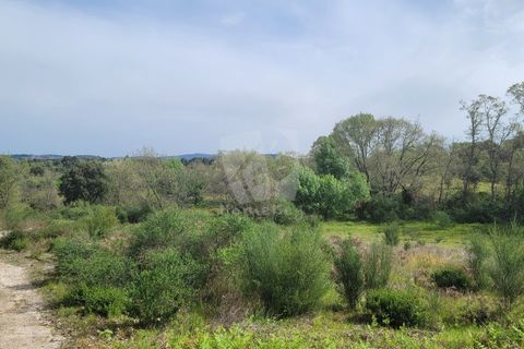 Farm hus i A do Bispo, Castelo Branco, A do Bispo - € 120.000 | Ref: H774 - foto 7