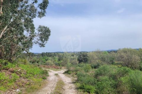 Farm hus i A do Bispo, Castelo Branco, A do Bispo - € 120.000 | Ref: H774 - foto 8