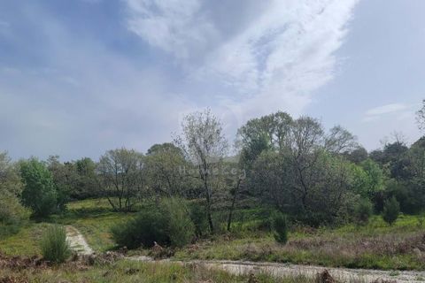 Farm hus i A do Bispo, Castelo Branco, A do Bispo - € 120.000 | Ref: H774 - foto 10