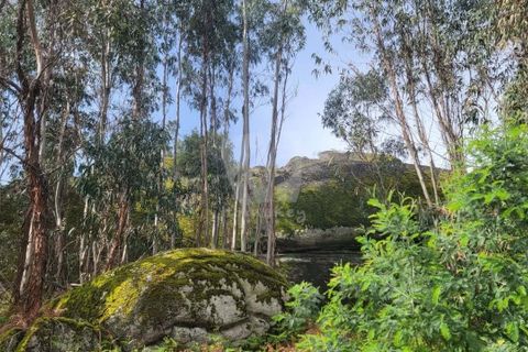 Farm hus i A do Bispo, Castelo Branco, A do Bispo - € 120.000 | Ref: H774 - foto 11