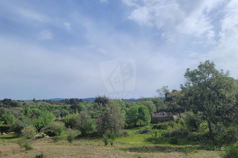 Farm hus i A do Bispo, Castelo Branco, A do Bispo - € 120.000 | Ref: H774 - foto 12
