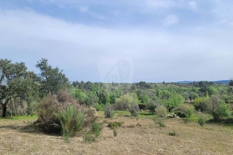 Farm hus i A do Bispo, Castelo Branco, A do Bispo - € 120.000 | Ref: H774 - foto 13