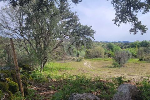 Farm hus i A do Bispo, Castelo Branco, A do Bispo - € 120.000 | Ref: H774 - foto 15