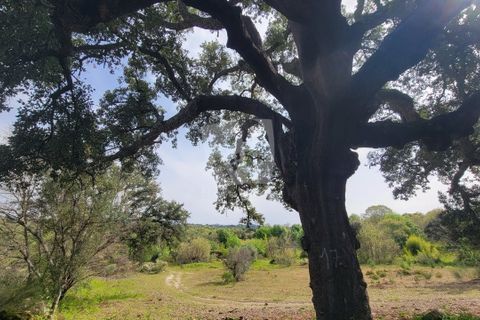 Farm hus i A do Bispo, Castelo Branco, A do Bispo - € 120.000 | Ref: H774 - foto 16