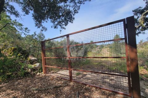 Farm hus i A do Bispo, Castelo Branco, A do Bispo - € 120.000 | Ref: H774 - foto 17