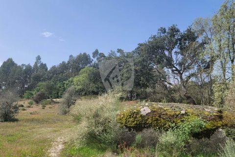 Farm hus i A do Bispo, Castelo Branco, A do Bispo - € 120.000 | Ref: H774 - foto 20