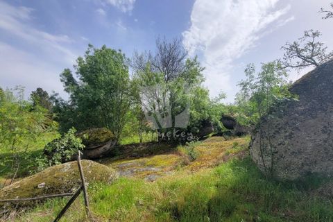 Farm hus i A do Bispo, Castelo Branco, A do Bispo - € 120.000 | Ref: H774 - foto 21