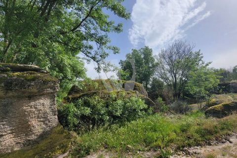 Farm hus i A do Bispo, Castelo Branco, A do Bispo - € 120.000 | Ref: H774 - foto 23