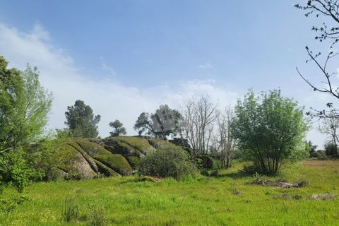 Farm hus i A do Bispo, Castelo Branco, A do Bispo - € 120.000 | Ref: H774 - foto 28
