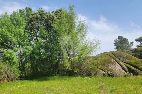 Farm hus i A do Bispo, Castelo Branco, A do Bispo - € 120.000 | Ref: H774 - foto 29