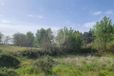 Farm hus i A do Bispo, Castelo Branco, A do Bispo - € 120.000 | Ref: H774 - foto 30