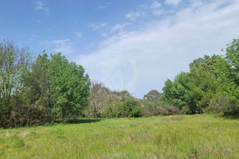 Farm hus i A do Bispo, Castelo Branco, A do Bispo - € 120.000 | Ref: H774 - foto 31