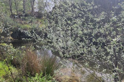 Farm hus i A do Bispo, Castelo Branco, A do Bispo - € 120.000 | Ref: H774 - foto 33