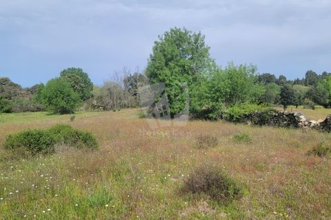 Farm hus i A do Bispo, Castelo Branco, A do Bispo - € 120.000 | Ref: H774 - foto 35