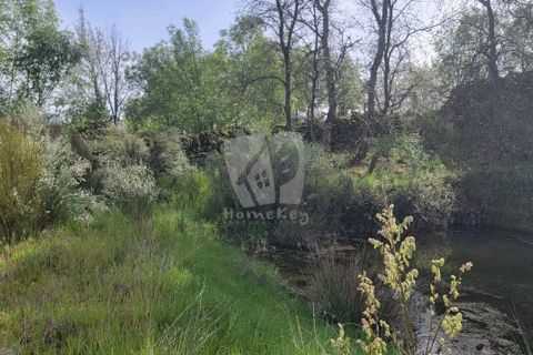 Farm hus i A do Bispo, Castelo Branco, A do Bispo - € 120.000 | Ref: H774 - foto 36