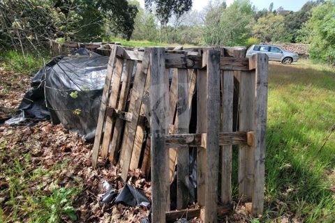 Farm hus i A do Bispo, Castelo Branco, A do Bispo - € 120.000 | Ref: H774 - foto 38