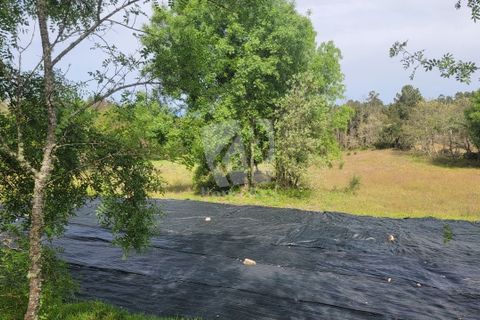Farm hus i A do Bispo, Castelo Branco, A do Bispo - € 120.000 | Ref: H774 - foto 39