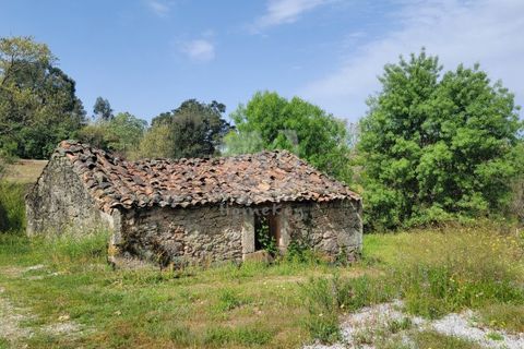 Farm hus i A do Bispo, Castelo Branco, A do Bispo - € 120.000 | Ref: H774 - foto 41