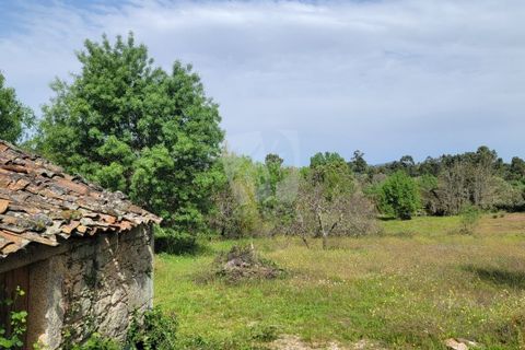 Farm hus i A do Bispo, Castelo Branco, A do Bispo - € 120.000 | Ref: H774 - foto 42