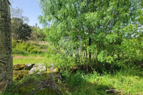 Farm hus i A do Bispo, Castelo Branco, A do Bispo - € 120.000 | Ref: H774 - foto 47