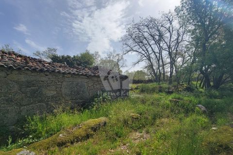 Farm hus i A do Bispo, Castelo Branco, A do Bispo - € 120.000 | Ref: H774 - foto 49