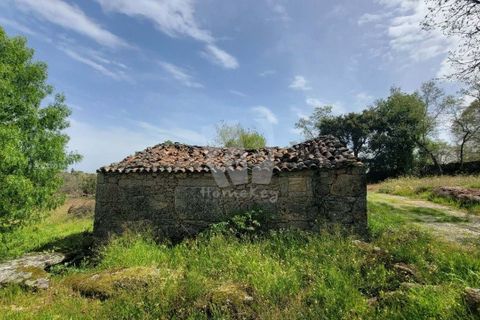 Farm hus i A do Bispo, Castelo Branco, A do Bispo - € 120.000 | Ref: H774 - foto 50