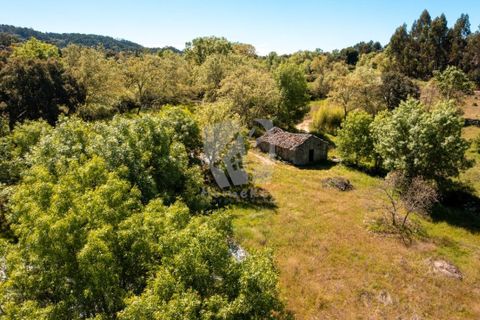 Farm hus i A do Bispo, Castelo Branco, A do Bispo - € 120.000 | Ref: H774 - foto 2