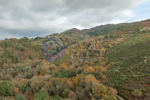Tomt i Terras de Bouro, Braga, Terras de Bouro - € 82 500 | Ref: 1127391 - foto 5