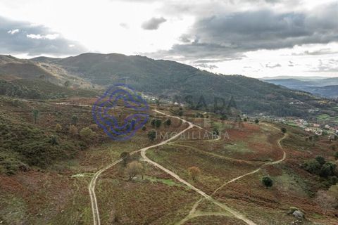 Tomt i Terras de Bouro, Braga, Terras de Bouro - € 82 500 | Ref: 1127391 - foto 6