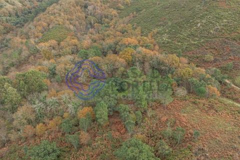 Tomt i Terras de Bouro, Braga, Terras de Bouro - € 82 500 | Ref: 1127391 - foto 7
