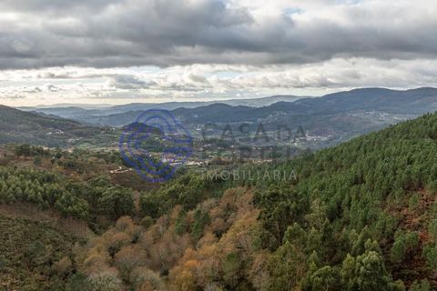 Tomt i Terras de Bouro, Braga, Terras de Bouro - € 82 500 | Ref: 1127391 - foto 8