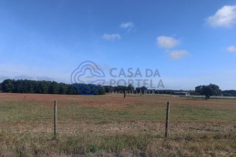 Helårsgrund i Montijo, Setubal, Montijo - € 995.000 | Ref: 1122781 - foto 2