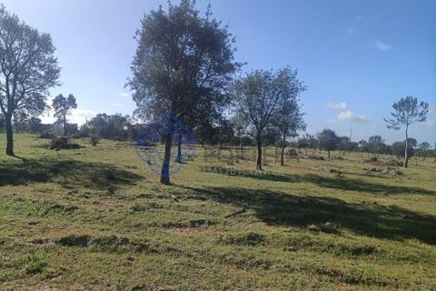 Helårsgrund i Montijo, Setubal, Montijo - € 995.000 | Ref: 1122781 - foto 3