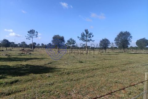 Helårsgrund i Montijo, Setubal, Montijo - € 995.000 | Ref: 1122781 - foto 5