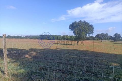 Helårsgrund i Montijo, Setubal, Montijo - € 995.000 | Ref: 1122781 - foto 6