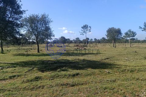 Helårsgrund i Montijo, Setubal, Montijo - € 995.000 | Ref: 1122781 - foto 8