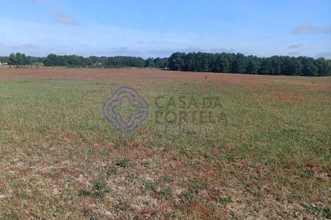 Helårsgrund i Montijo, Setubal, Montijo - € 995.000 | Ref: 1122781 - foto 9