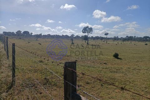 Helårsgrund i Montijo, Setubal, Montijo - € 995.000 | Ref: 1122781 - foto 11