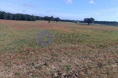 Helårsgrund i Montijo, Setubal, Montijo - € 995.000 | Ref: 1122781 - foto 12
